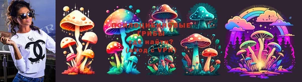 стафф Краснослободск