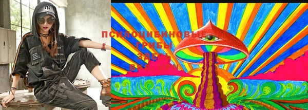 стафф Краснослободск