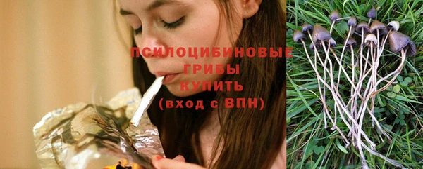 стафф Краснослободск