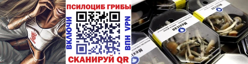 кракен ТОР  что такое наркотик  Магнитогорск  Галлюциногенные грибы мицелий 